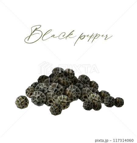 Black peppercorn pile painted illustration. Vintage style image. Hand drawn black pepper spice heap for cooking and seasoning ingredient isolated on white background 117314060