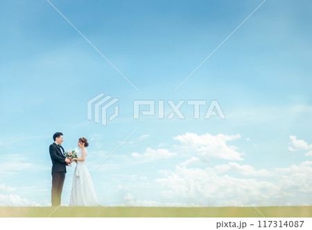 空バックの新郎新婦（ウェディング・結婚式・ブライダル・ロケーションフォト・フォトウェディング） 117314087