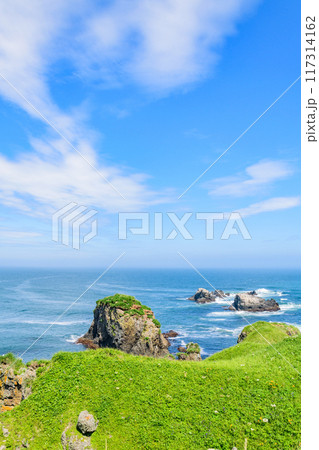 青空の霧多布岬を歩く 青空の霧多布岬を歩く 117314162