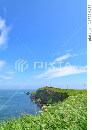 青空の霧多布岬を歩く 117314186