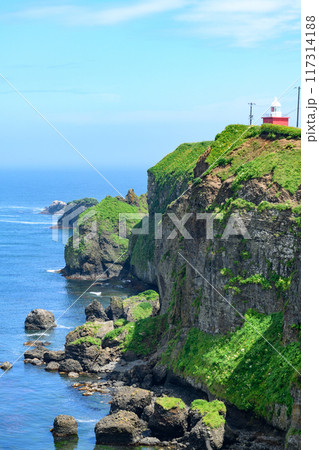 青空の霧多布岬を歩く 青空の霧多布岬を歩く 117314188