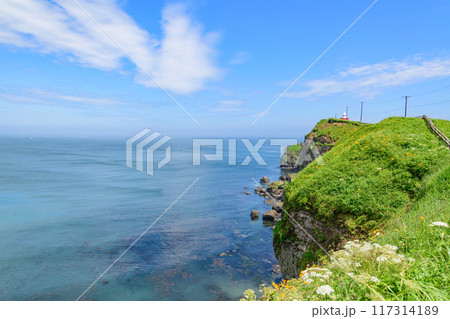 青空の霧多布岬を歩く 青空の霧多布岬を歩く 117314189