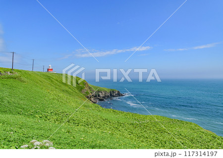 青空の霧多布岬を歩く 青空の霧多布岬を歩く 117314197