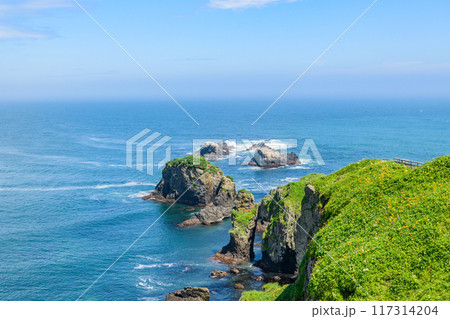 青空の霧多布岬を歩く 青空の霧多布岬を歩く 117314204