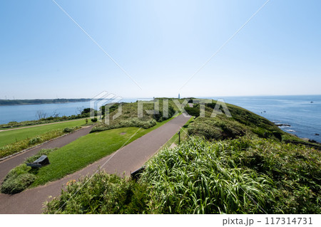 神奈川県城ヶ島の高台から見る海 117314731