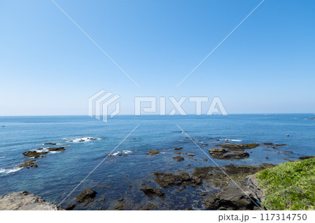 神奈川県城ヶ島より海を望む 神奈川県城ヶ島より海を望む 117314750