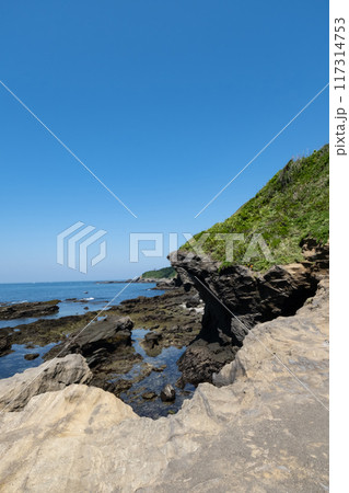 神奈川県城ヶ島海岸の風景 神奈川県城ヶ島海岸の風景 117314753
