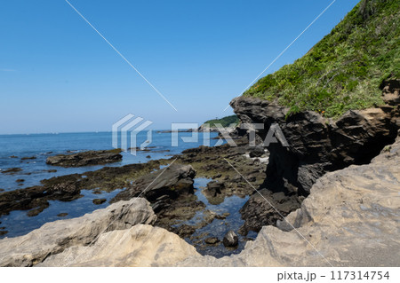 神奈川県城ヶ島海岸の風景 神奈川県城ヶ島海岸の風景 117314754