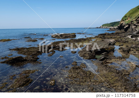 神奈川県城ヶ島海岸の風景 神奈川県城ヶ島海岸の風景 117314758