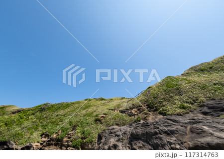 神奈川県城ヶ島海岸の崖を見上げる 117314763
