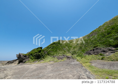 神奈川県城ヶ島海岸の風景 神奈川県城ヶ島海岸の風景 117314788