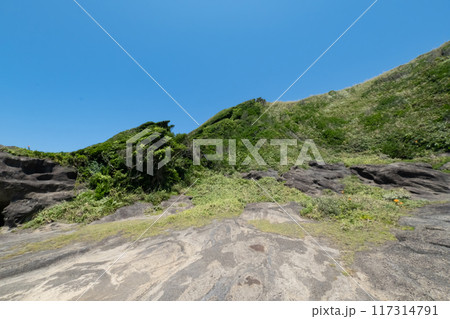 神奈川県城ヶ島海岸の風景 117314791