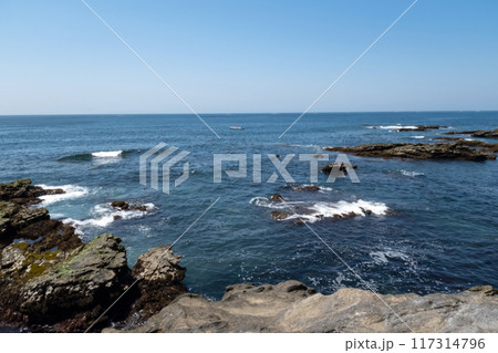 神奈川県城ヶ島海岸の岩場に打ち寄せる波 神奈川県城ヶ島海岸の岩場に打ち寄せる波 117314796