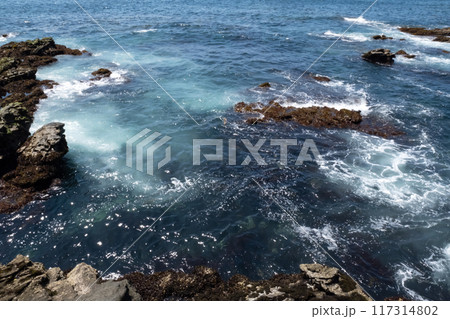 神奈川県城ヶ島海岸の岩場に打ち寄せる波 神奈川県城ヶ島海岸の岩場に打ち寄せる波 117314802