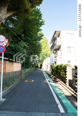 小田急小田原線狛江駅北口の風景　弁天池通り　夏晴れの青空　東京都狛江市 117314886
