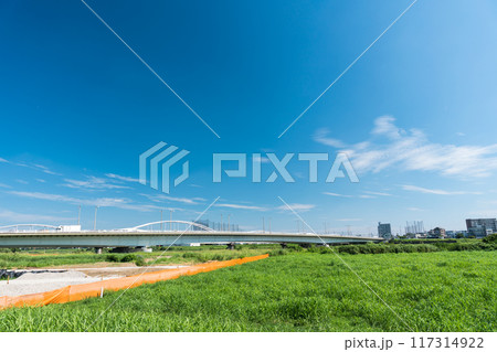 川崎の多摩川の土手から東京方面を眺める　多摩川原橋　夏晴れの青空　神奈川県川崎市 117314922