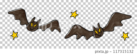 コウモリと星 コウモリと星 117315132