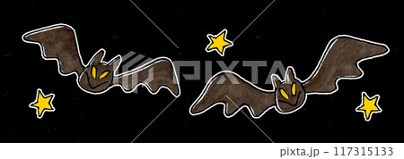 夜に飛ぶコウモリと星 夜に飛ぶコウモリと星 117315133