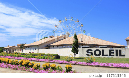 ソレイユの丘の夏（向日葵畑とか） 117315546