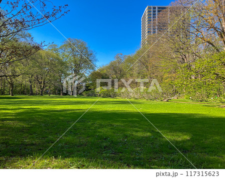 北海道大学植物園　2024年6月 117315623