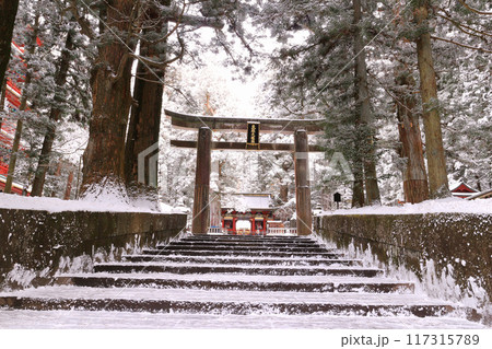 日光市　日光東照宮　参道 117315789