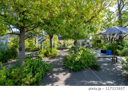 東京都渋谷区神宮前、表参道、おもはらの森 117315937