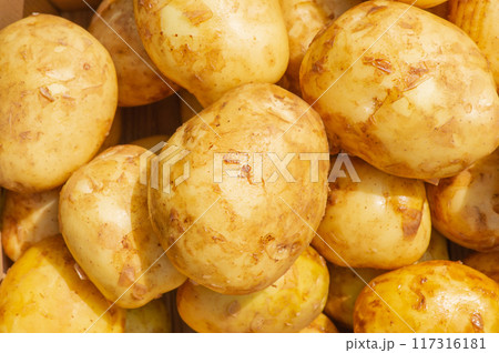 Young clean potatoes in sunlight as a background 117316181