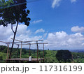 wooden bridge in the mountain 117316199