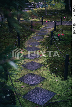 苔むした日本庭園の飛び石 117316589
