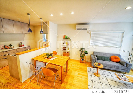 ペット同居型デザイナーズ住宅のお洒落なリビング コンパクトハウス ペット同居型デザイナーズ住宅のお洒落なリビング コンパクトハウス 117316725