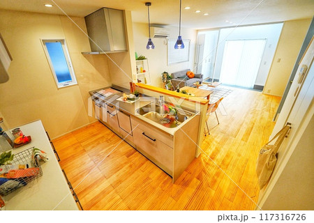 ペット同居型デザイナーズ住宅のお洒落なキッチン コンパクトハウス ペット同居型デザイナーズ住宅のお洒落なキッチン コンパクトハウス 117316726