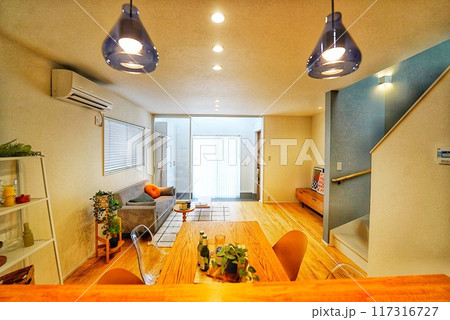 ペット同居型デザイナーズ住宅のお洒落なキッチン コンパクトハウス ペット同居型デザイナーズ住宅のお洒落なキッチン コンパクトハウス 117316727