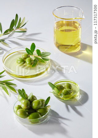 On a white background, petri dishes fill with fresh olives, branches and olive oil decorated. Lab glassware containing natural ingredient for cosmetic. Advertising photo 117317300