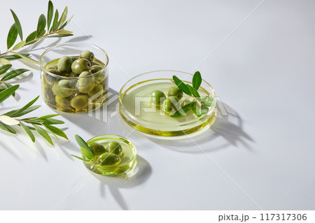 Minimal concept for advertising product of olive extract. Fresh olive, oil and leaves of olives on petri dishes decorated on the white background. Olive oil may offer several health benefits 117317306