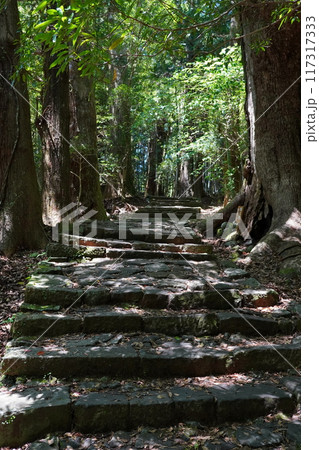 世界遺産 熊野古道 世界遺産 熊野古道 117317333