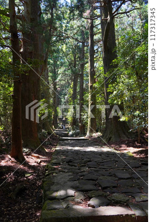 世界遺産　熊野古道 117317345
