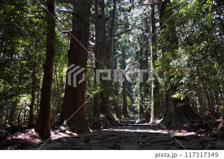 世界遺産　熊野古道 117317349