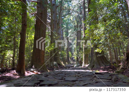 世界遺産 熊野古道 世界遺産 熊野古道 117317350