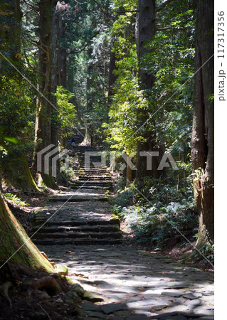 世界遺産 熊野古道 世界遺産 熊野古道 117317356