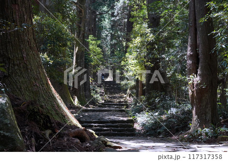 世界遺産　熊野古道 117317358
