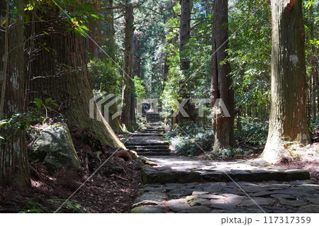 世界遺産　熊野古道 117317359