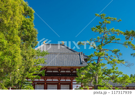 東大寺中門と大仏殿 117317939