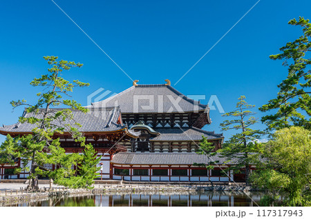 東大寺大仏殿と鏡池 東大寺大仏殿と鏡池 117317943