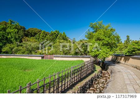 東大寺二月堂裏参道 117317969