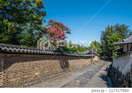 東大寺二月堂裏参道 土塀から姿を現すサルスベリ 東大寺二月堂裏参道 土塀から姿を現すサルスベリ 117317989
