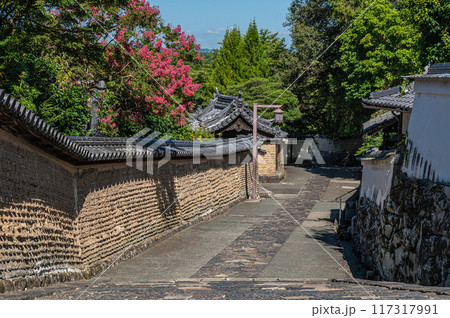東大寺二月堂裏参道　土塀から姿を現すサルスベリ 117317991