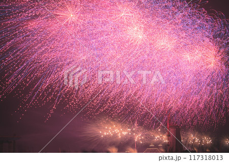 花火 キラキラ輝くもの 線香花火 117318013