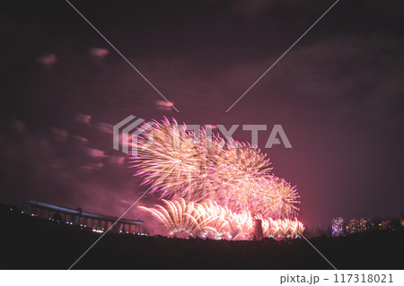 花火 キラキラ輝くもの 線香花火 117318021
