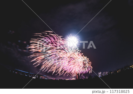 花火 キラキラ輝くもの 線香花火 117318025