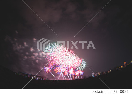 花火 キラキラ輝くもの 線香花火 117318026